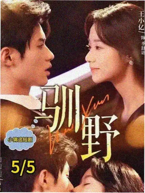 暗夜追踪 电视剧 2026